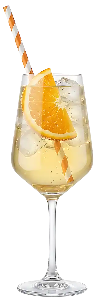 Pelinkovac Orange 0.1l